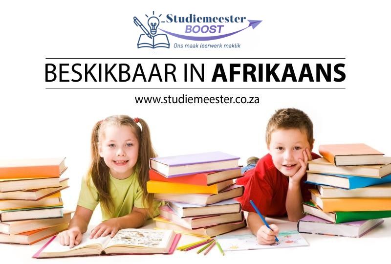 Studiemeester